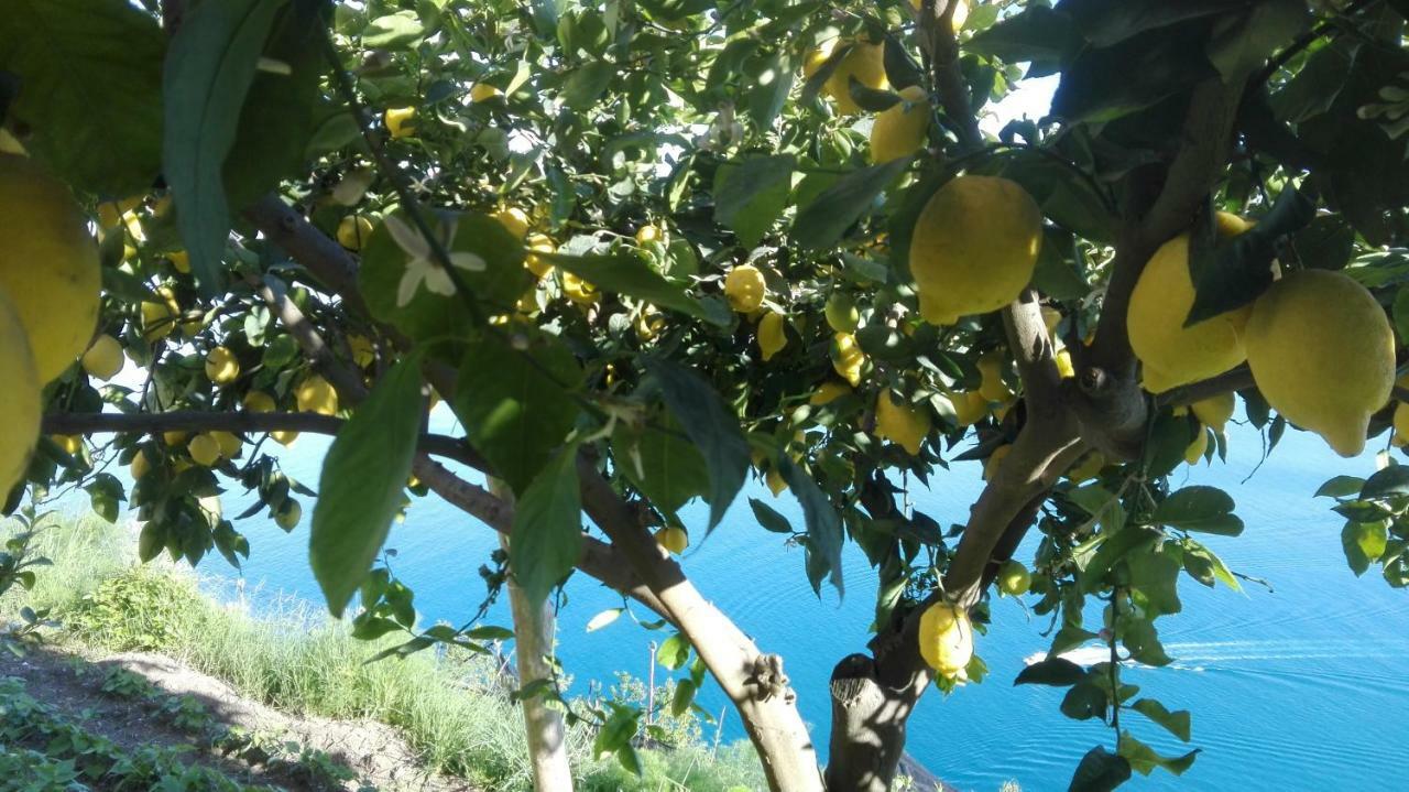The Guardian Of Amalfi Vila Exterior foto