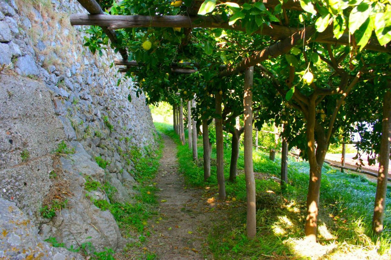The Guardian Of Amalfi Vila Exterior foto